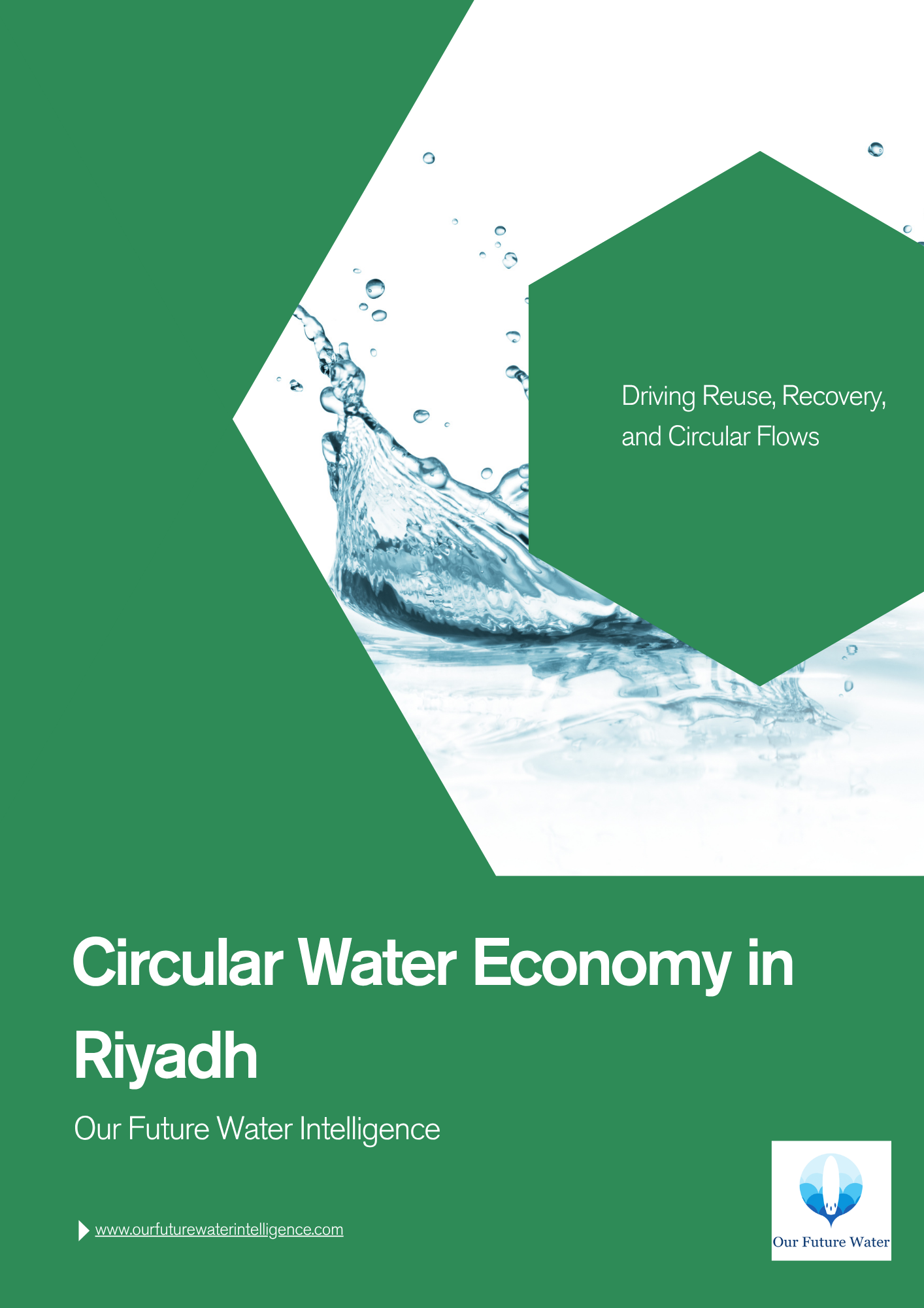 Demand Management & Circular Water Economy: Riyadh Case Study & Smart Meters