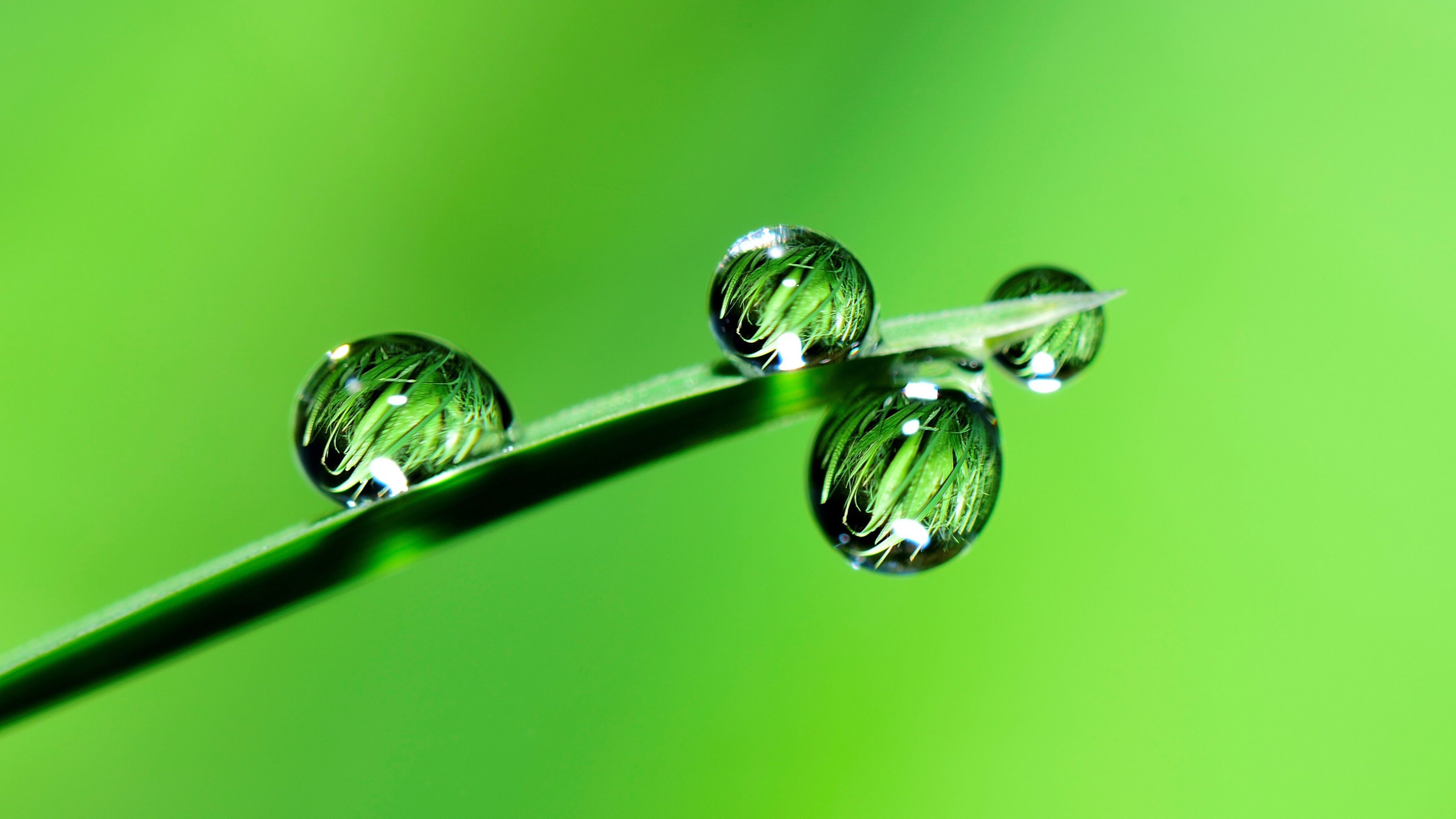 Greening Flood & Stormwater Infrastructure