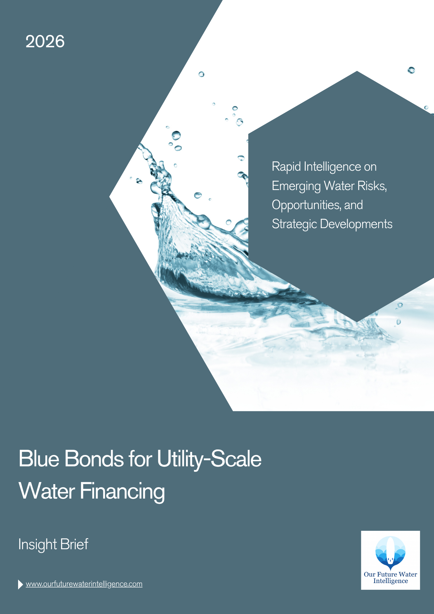 Blue Bonds for Utility-Scale Water Financing