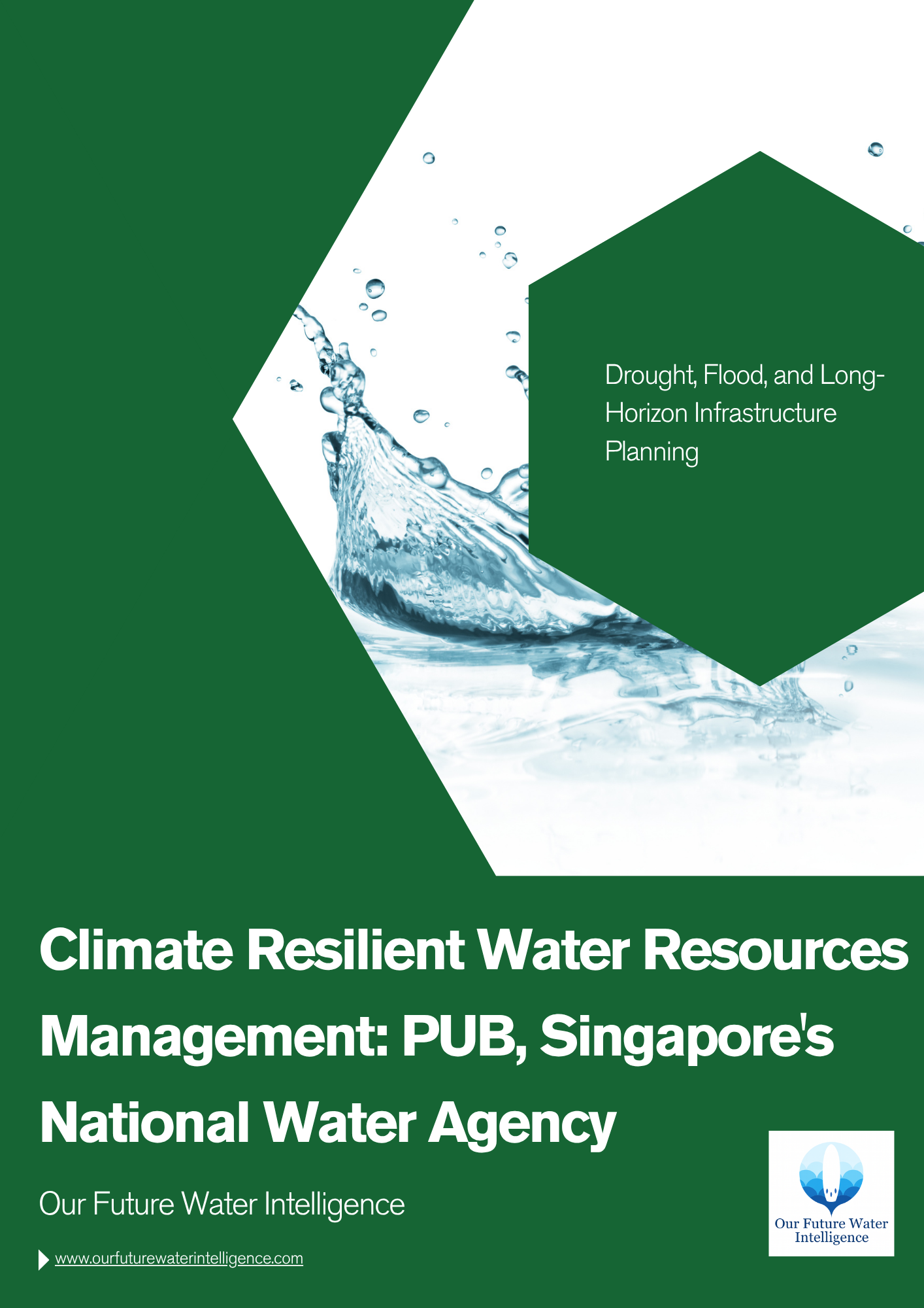 Cover of a report on climate resilient water resources management by PUB, Singapore's National Water Agency.