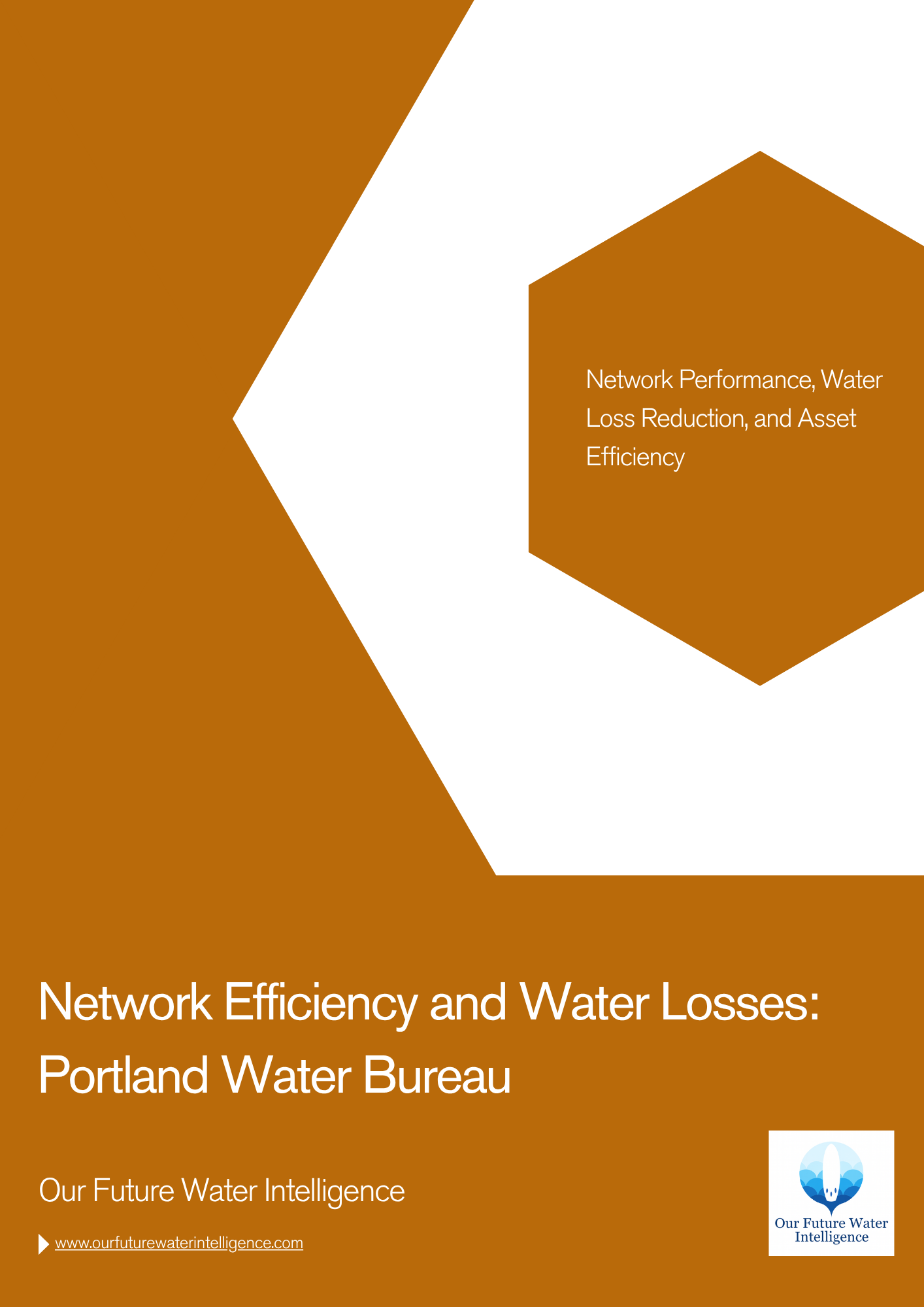 Network Efficiency and Water Losses: Portland Water Bureau