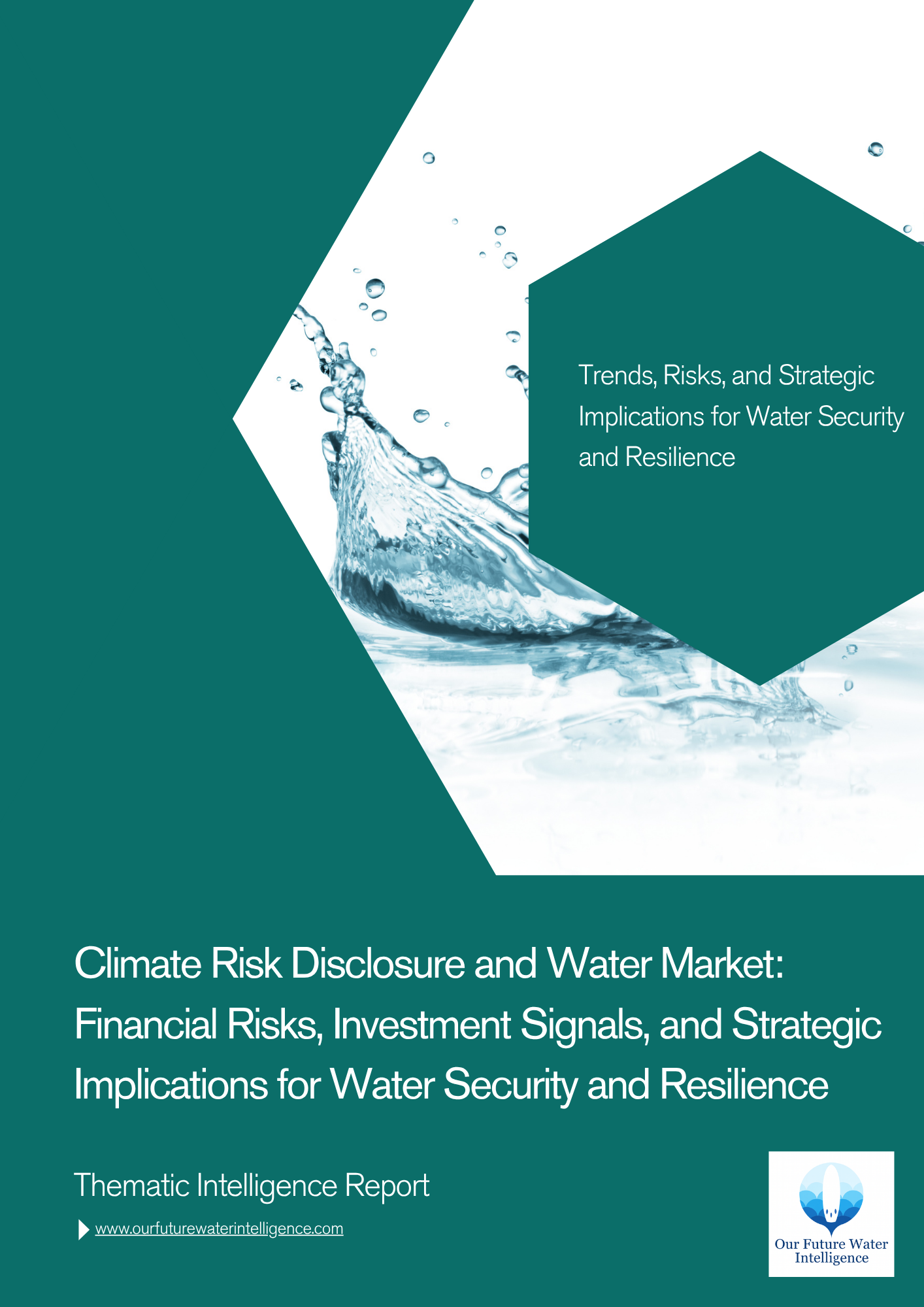 Climate Risk Disclosure and Water Markets: Financial Risks, Investment Signals, and Strategic Implications for Water Security and Resilience