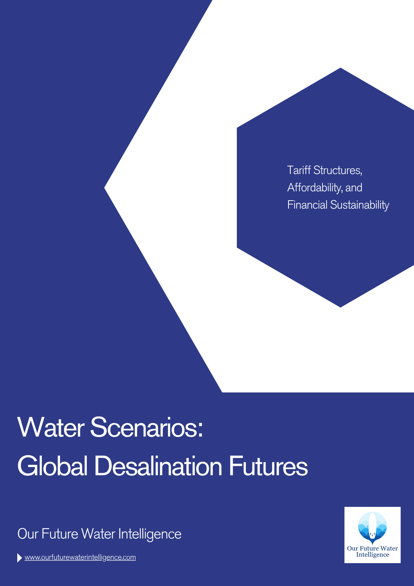 Cover of a report titled 'Water Scenarios: Global Desalination Futures' with a blue and white design.