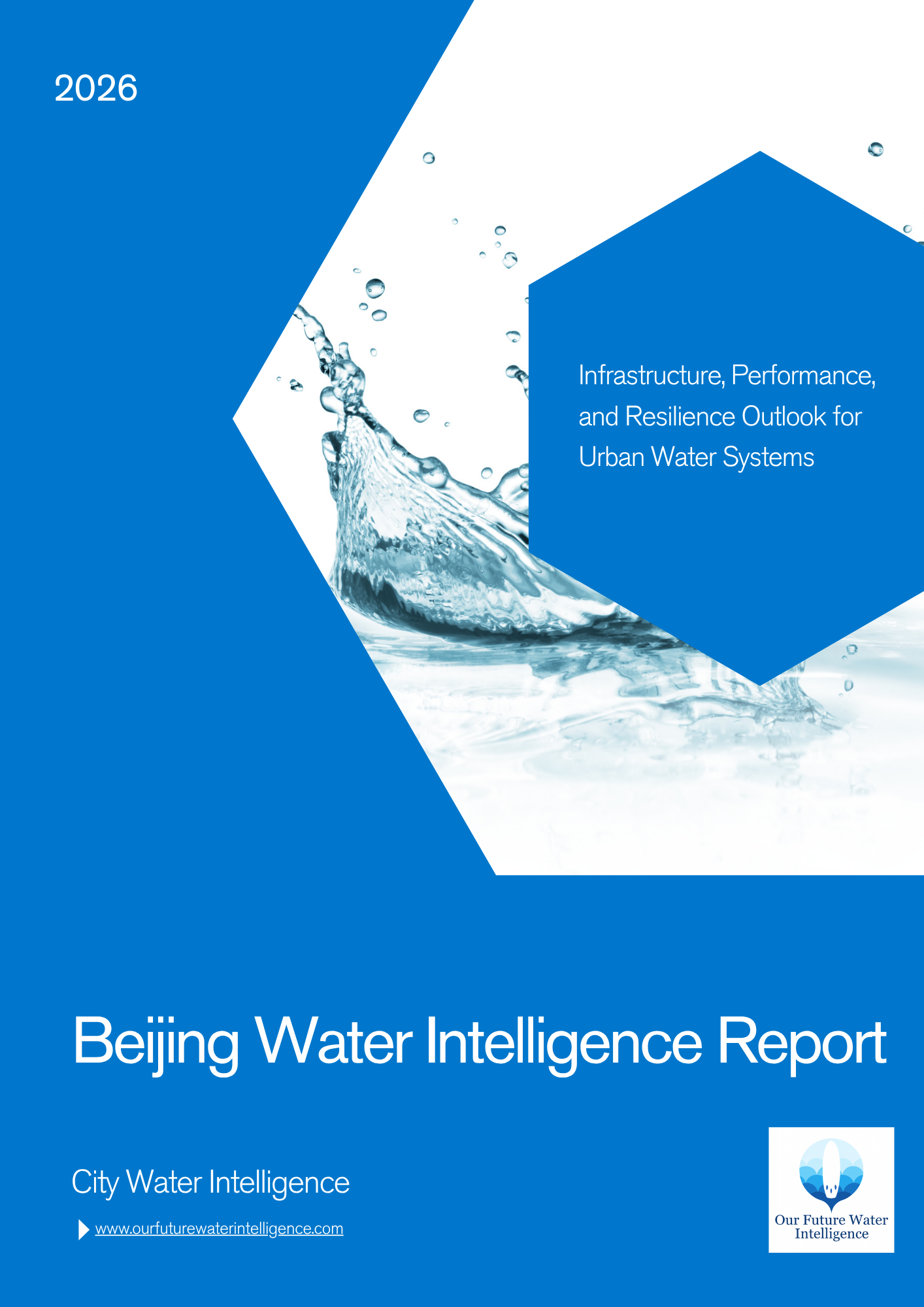 Sponge City Delivery: Beijing's Governance Test