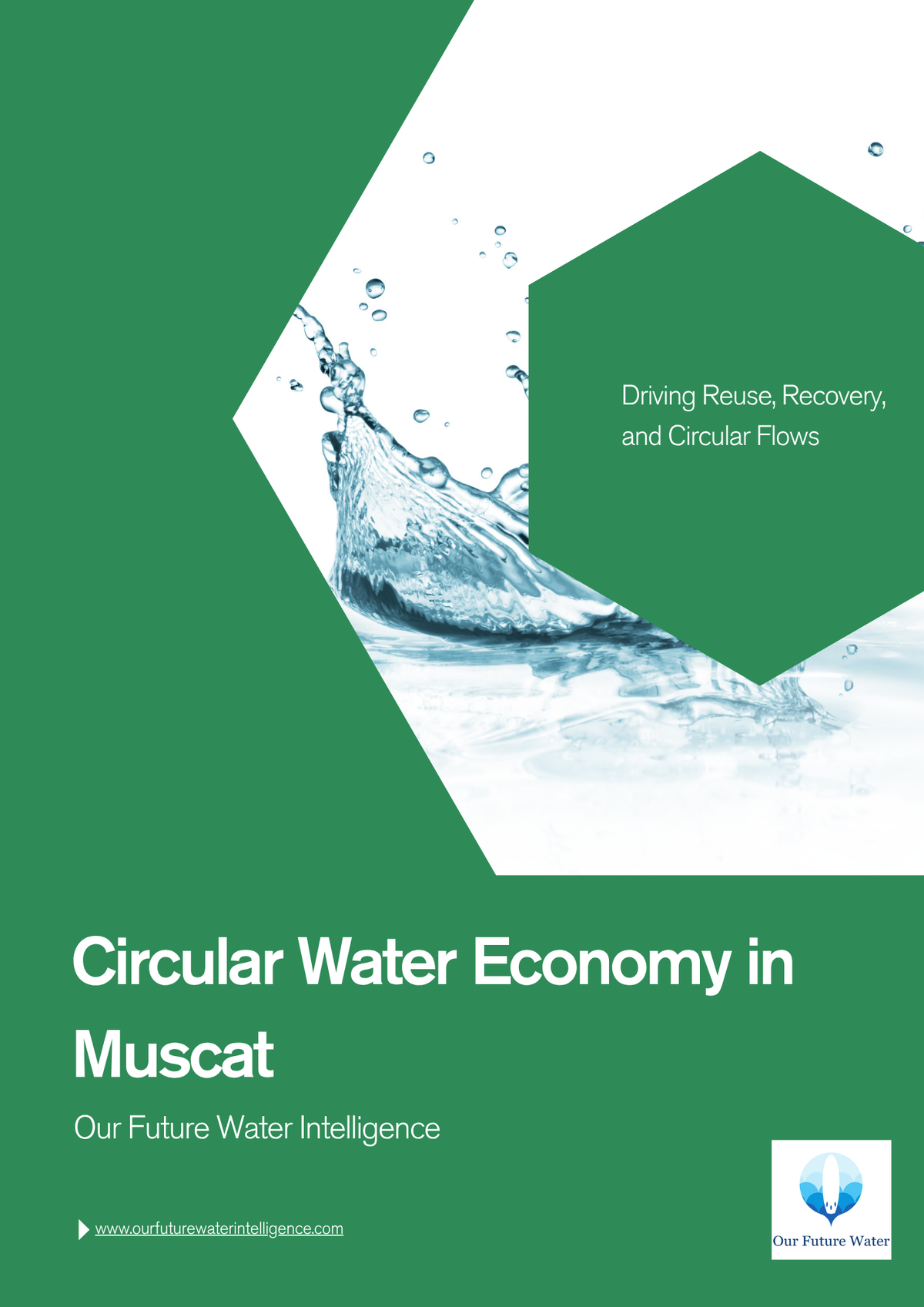 Circular Water Economy in Muscat: Governance, Reuse, and Climate-Resil