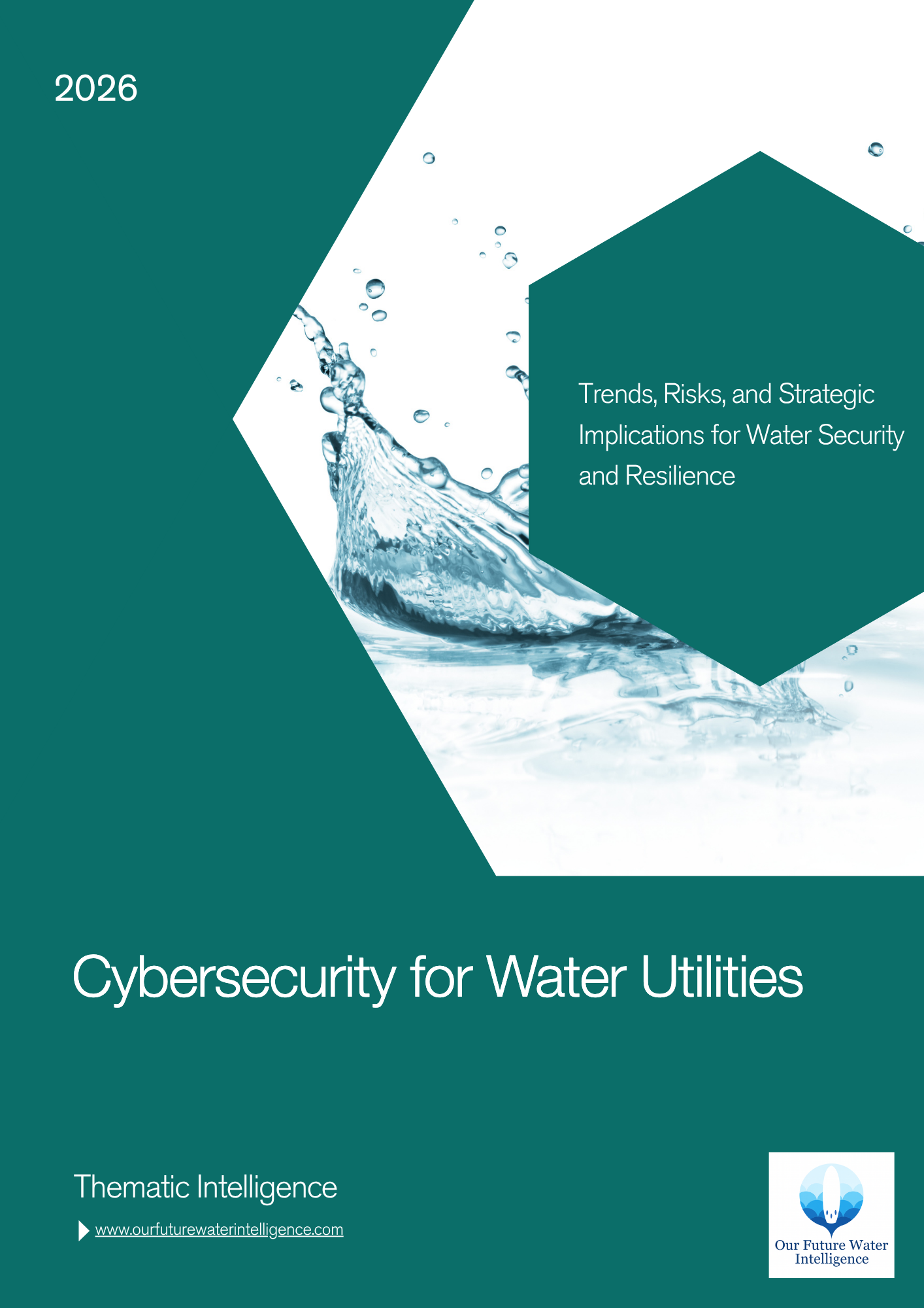 Board Governance for Cybersecurity Investment in Water Utilities