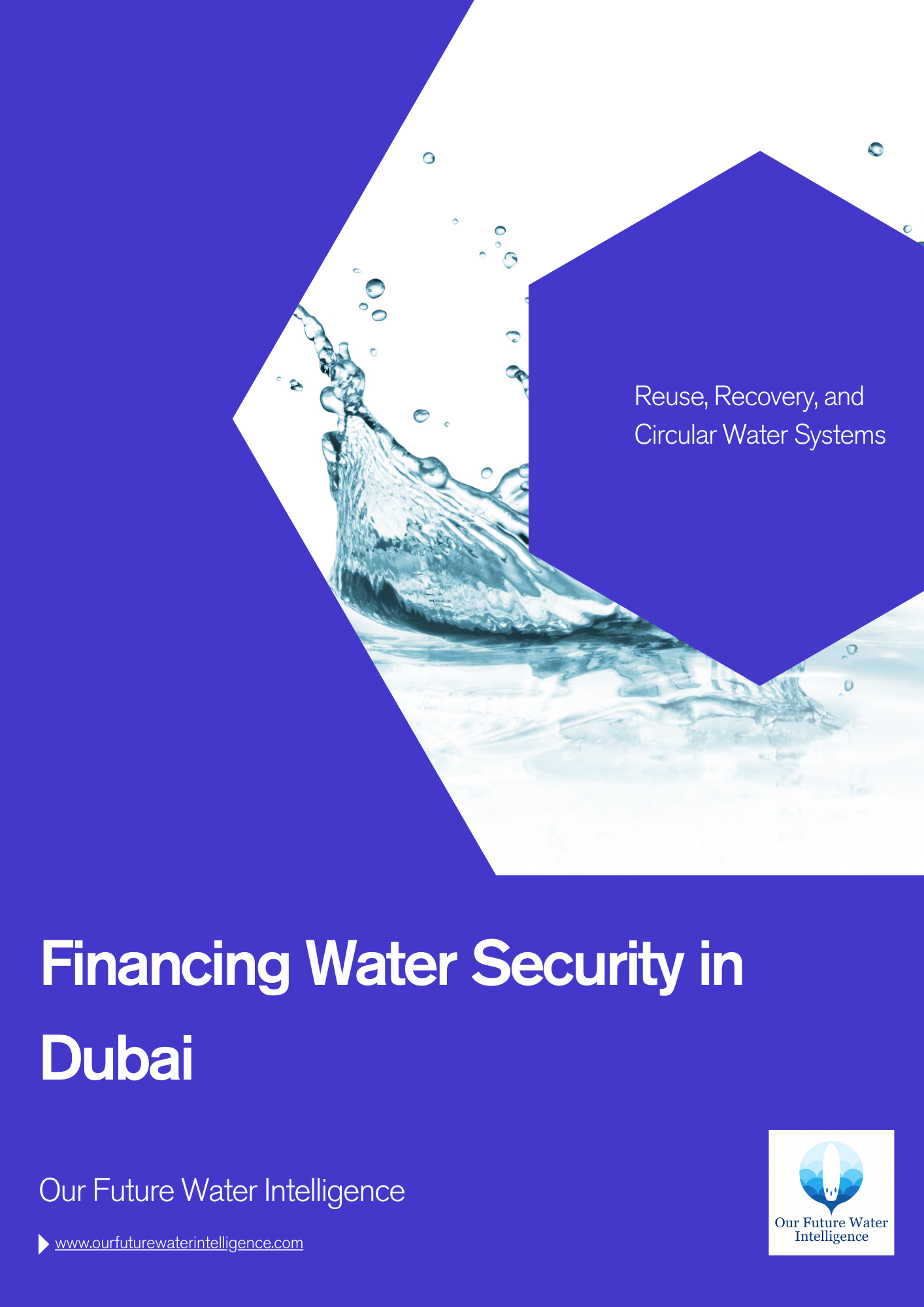 Circular Water Economy Dubai | Financing Water Security