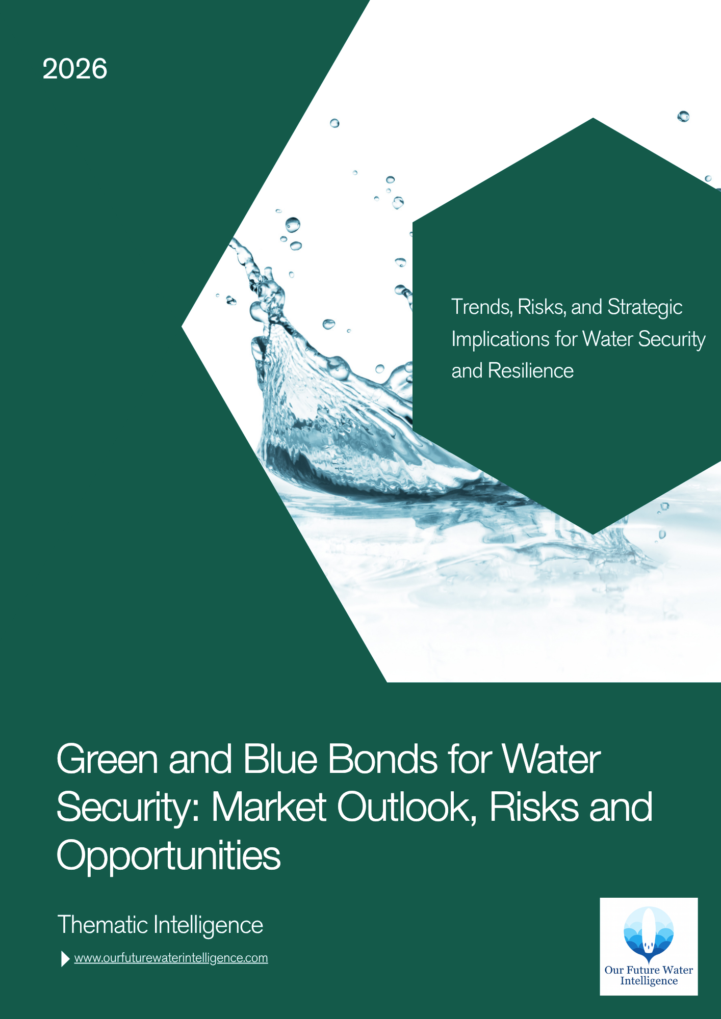 Water Bond Taxonomies and the Architecture of Market Trust