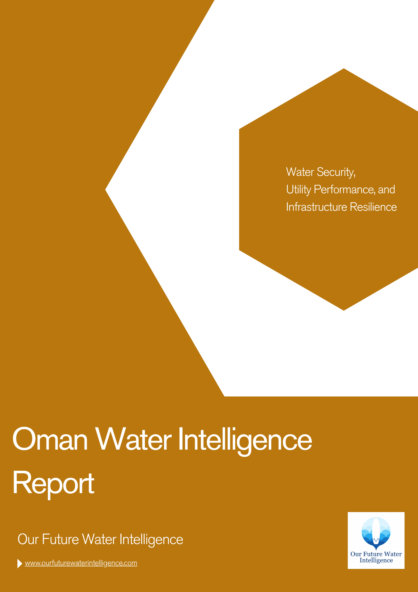Oman Wastewater Infrastructure Finance & Circular Water Model