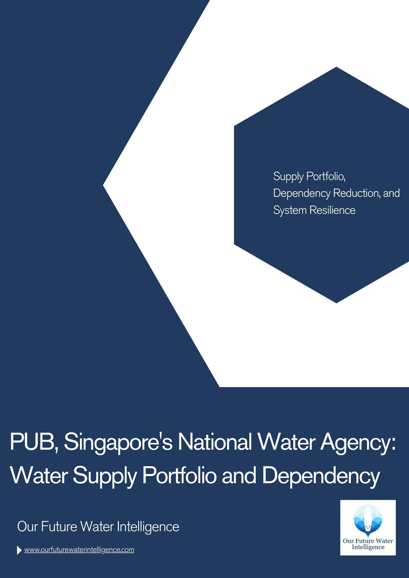 Recycling as Supply: Singapore’s Mandatory Industrial Water Reuse Strategy
