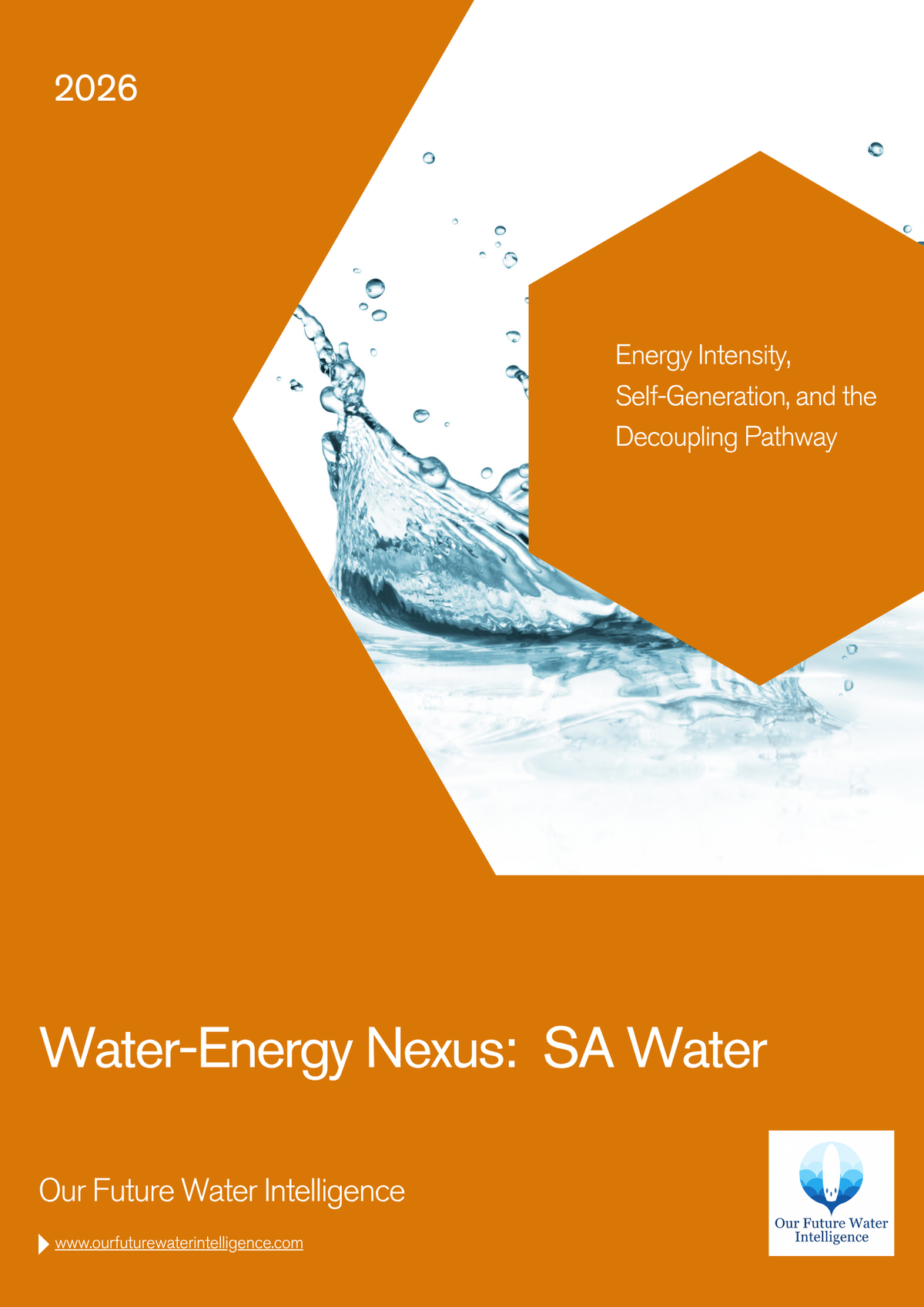 Water-Energy Resilience Is a Governance Test