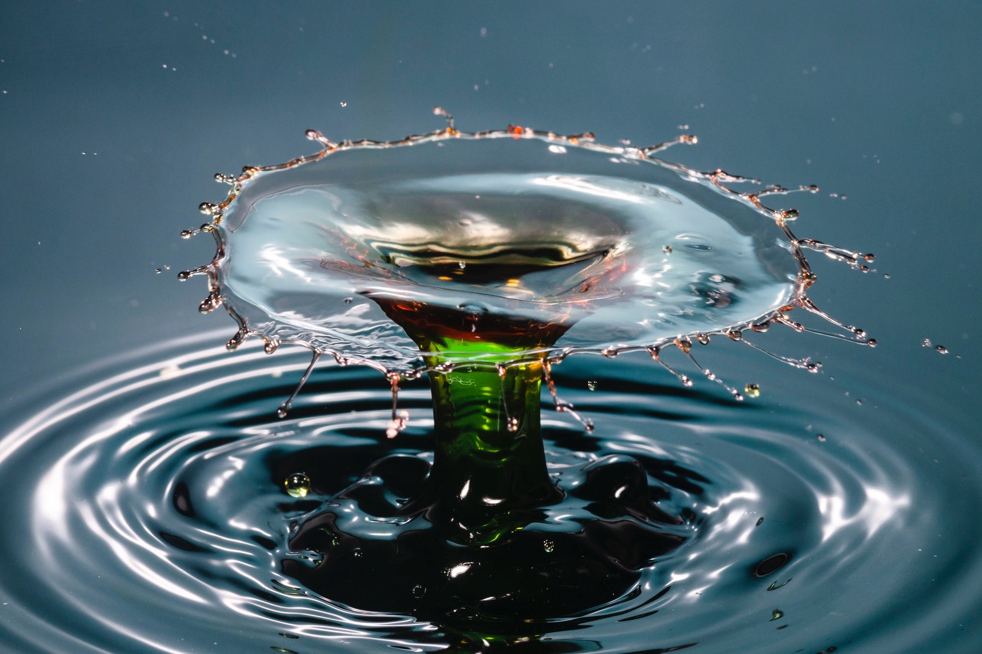 Utility Financial Structure and Risk