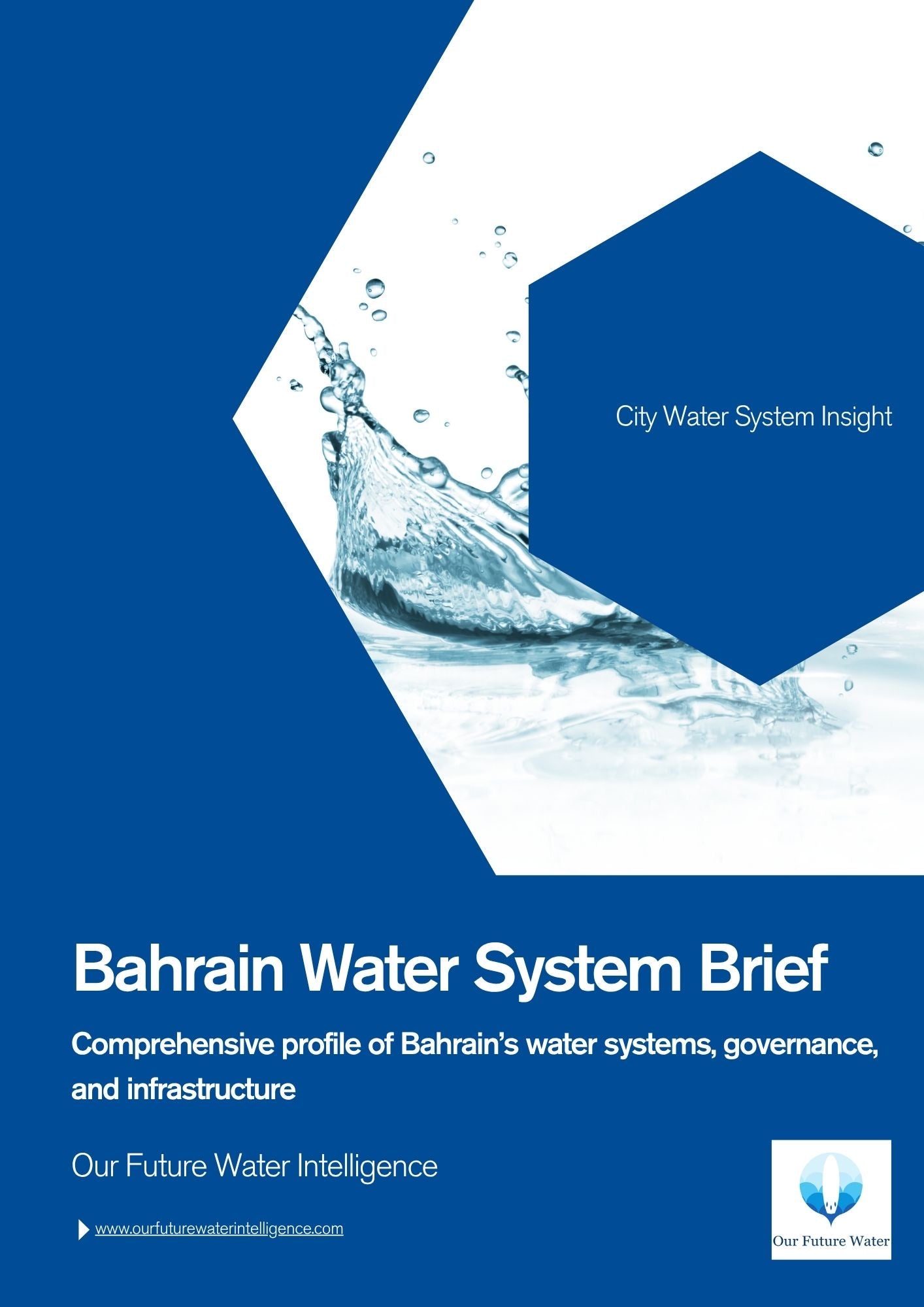 Report cover – Bahrain Water System Brief | Our Future Water Intelligence