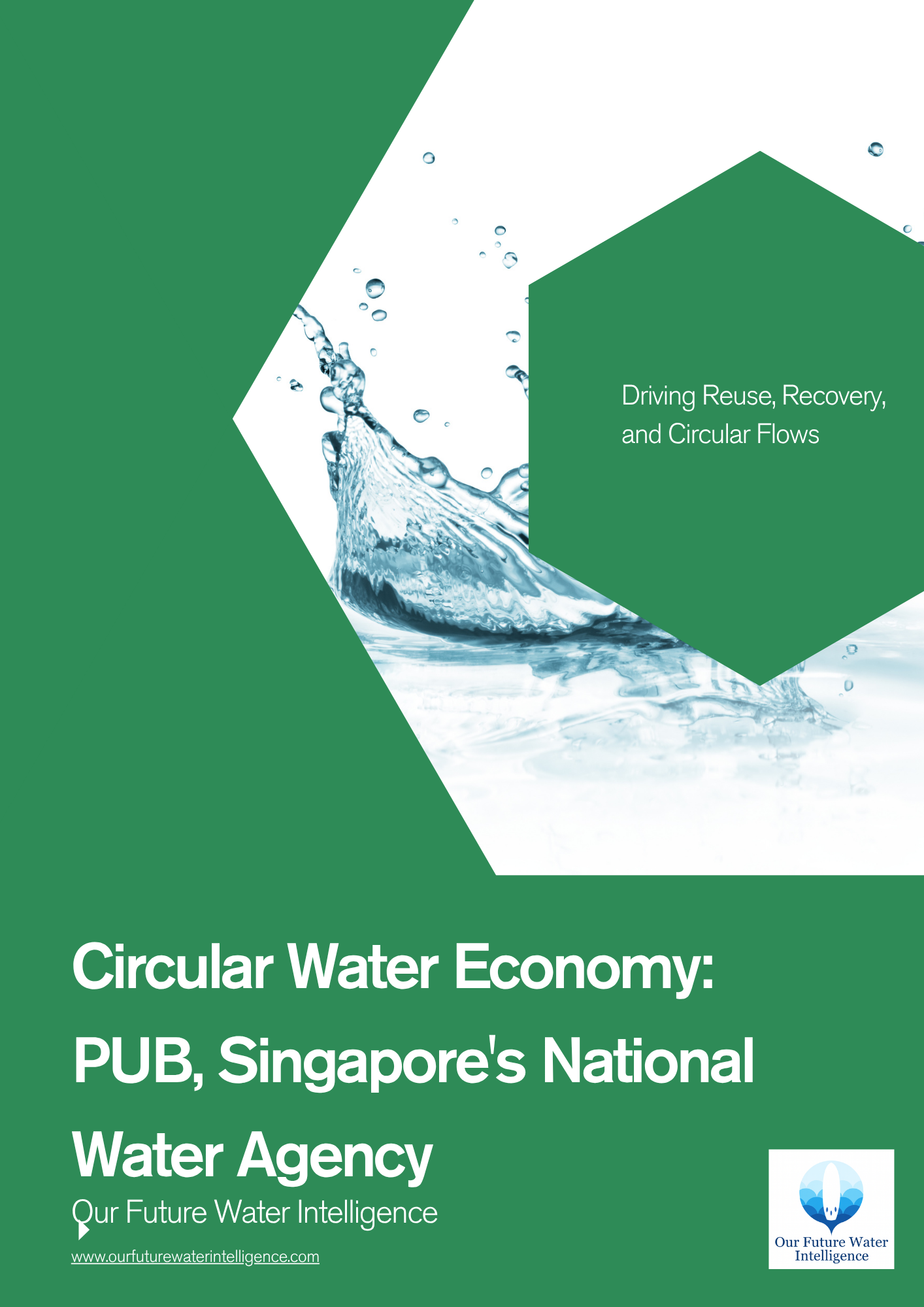 Cover of a report on Circular Water Economy with water splash design and Singapore's National Water Agency branding.