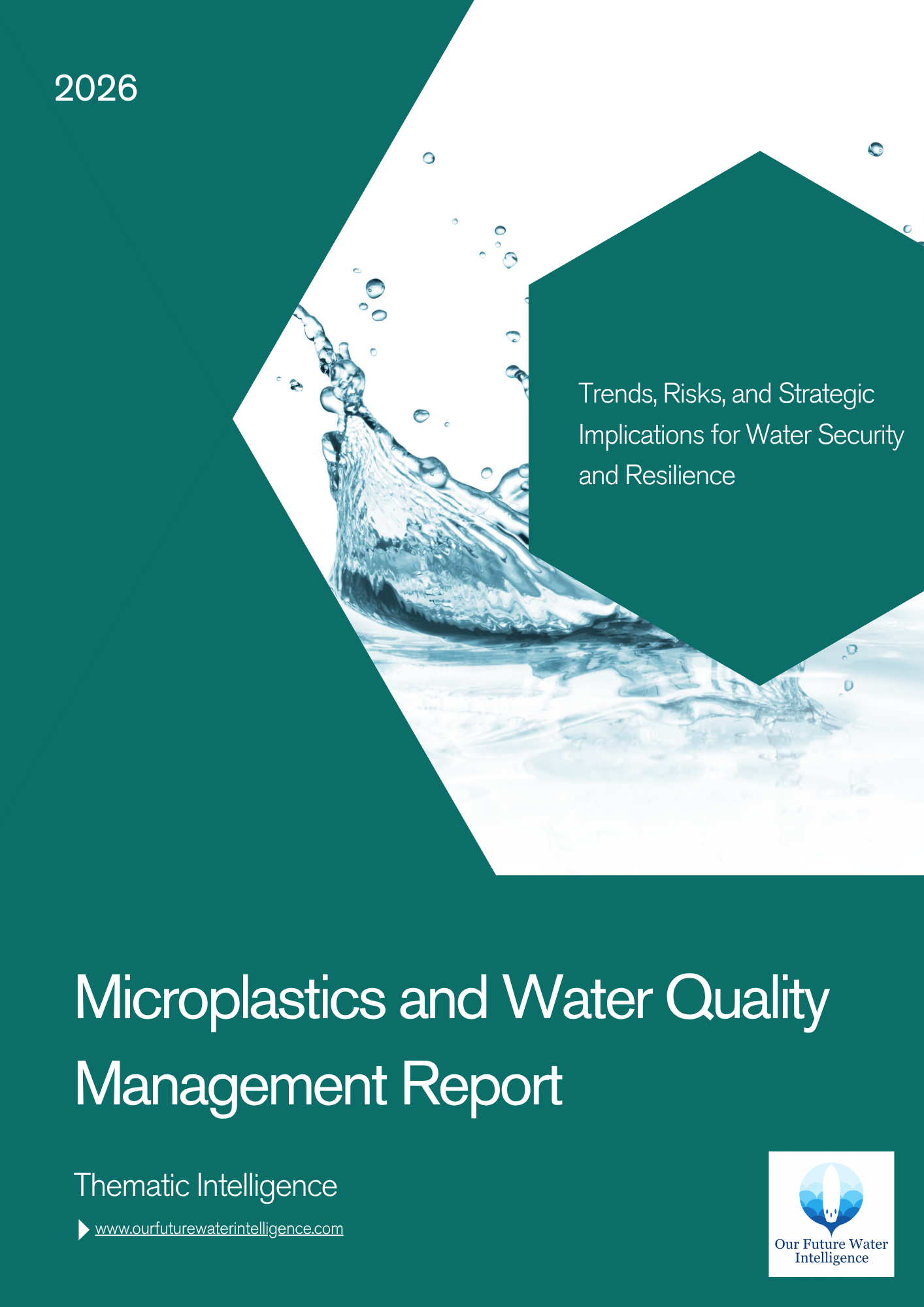 Microplastics and Water Quality Management Report