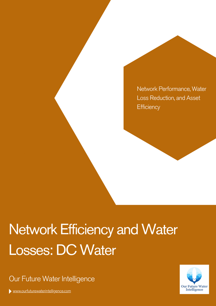 Rport cover about network efficiency and water losses with a brown and white design.