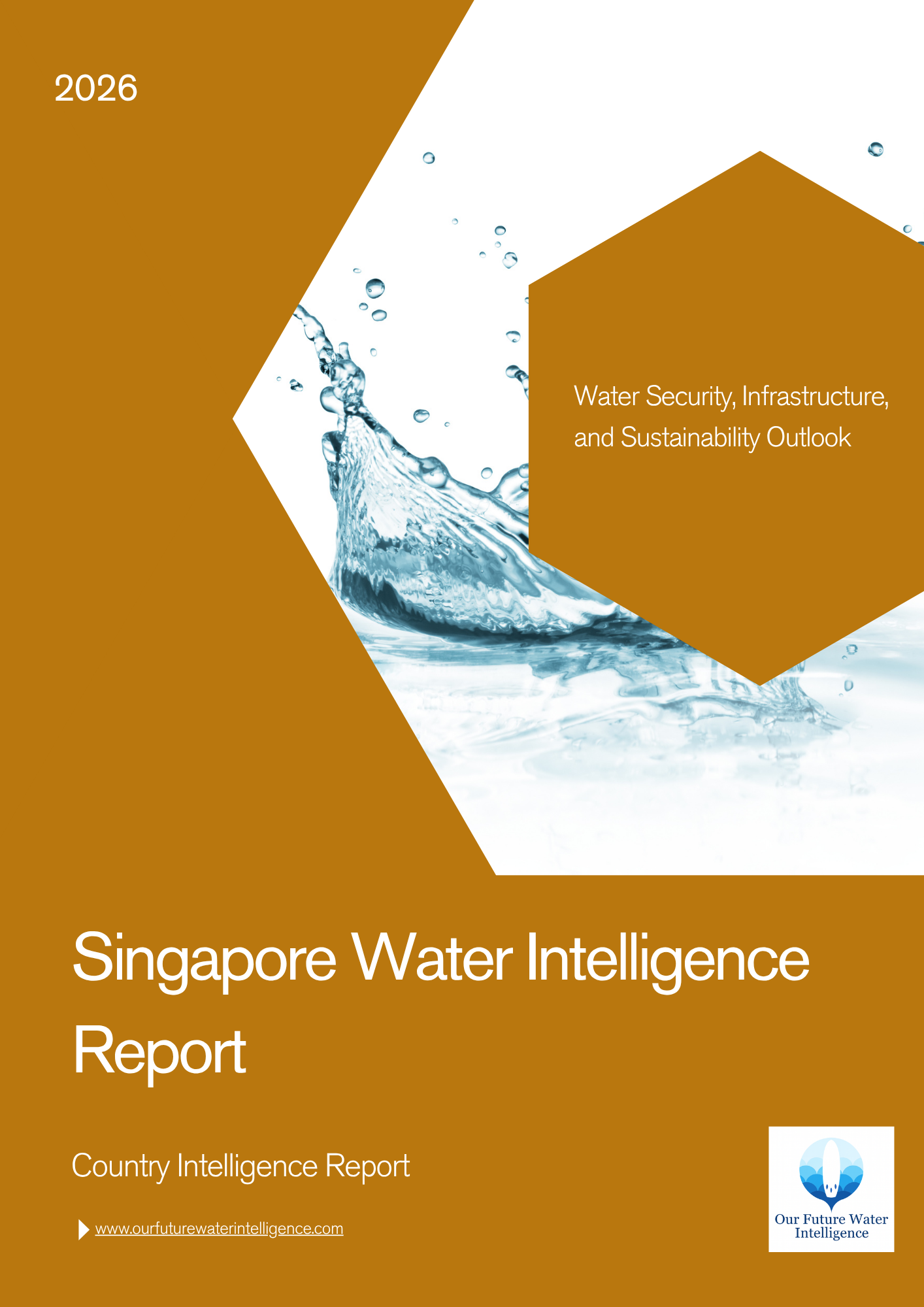 Singapore Water Intelligence Report