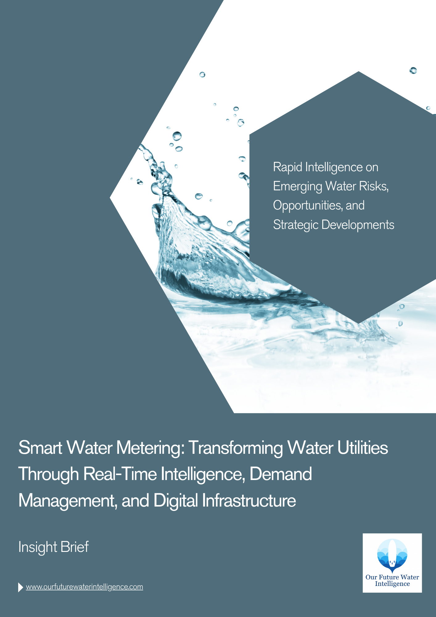 Smart Water Metering Report