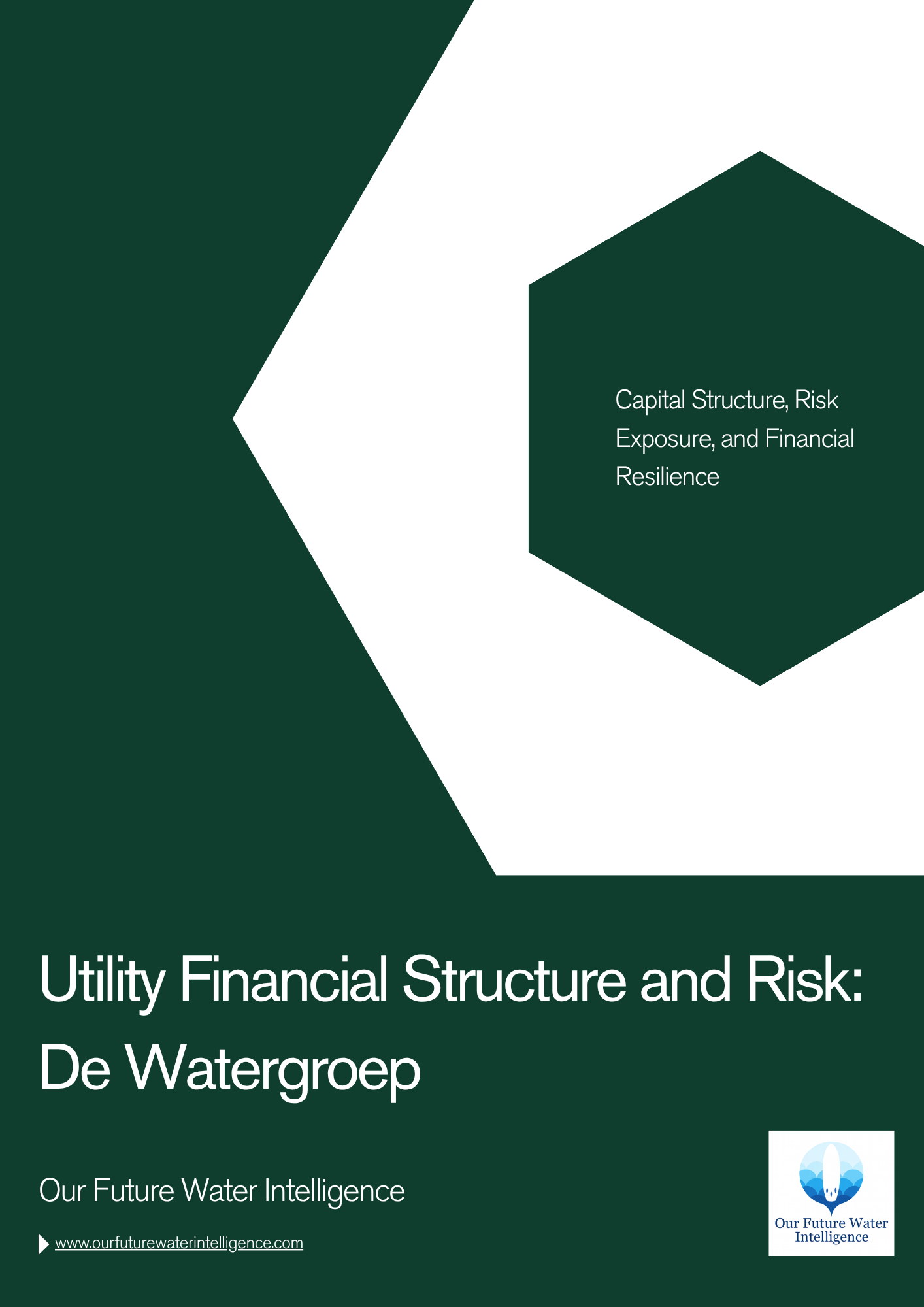 Utility Financial Structure and Risk: De Watergroep