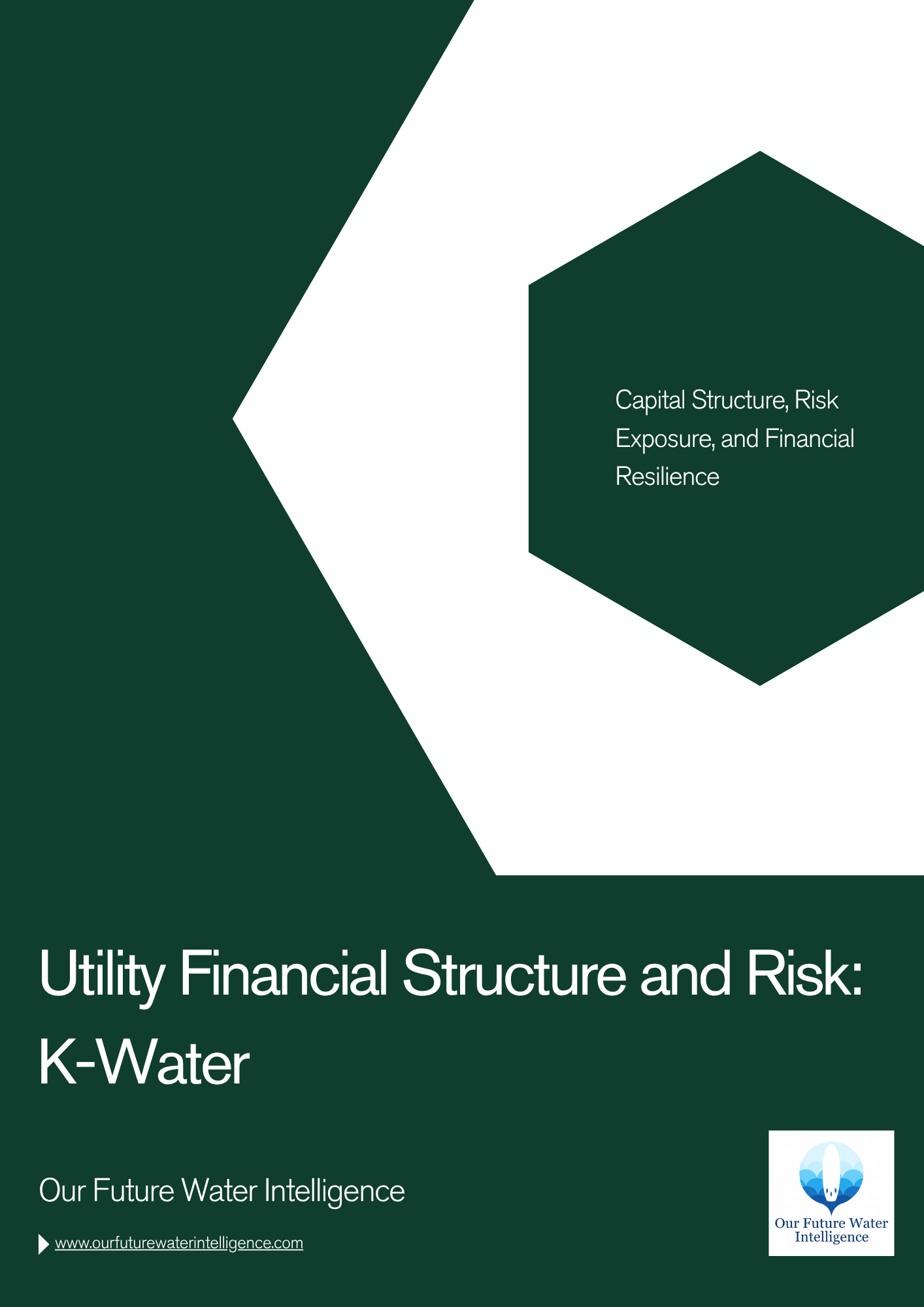Utility Financial Structure and Risk: K-Water