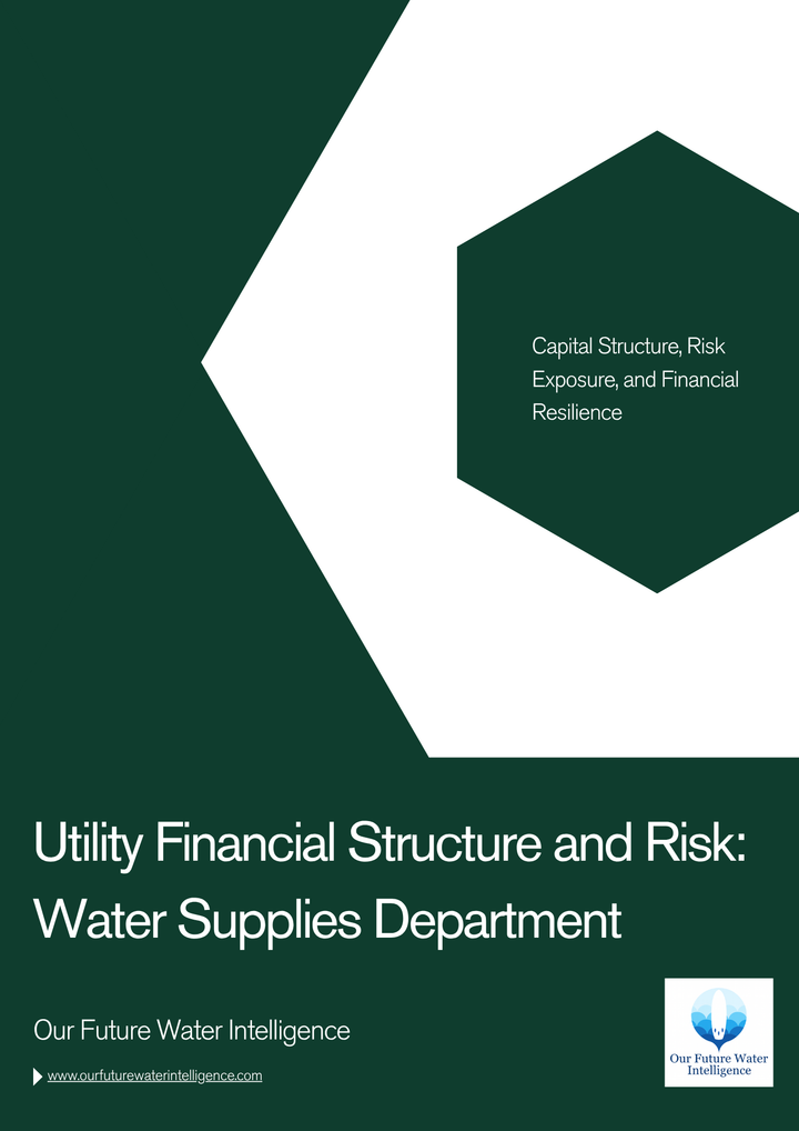 Report cover about network efficiency and water losses with a brown and white design.