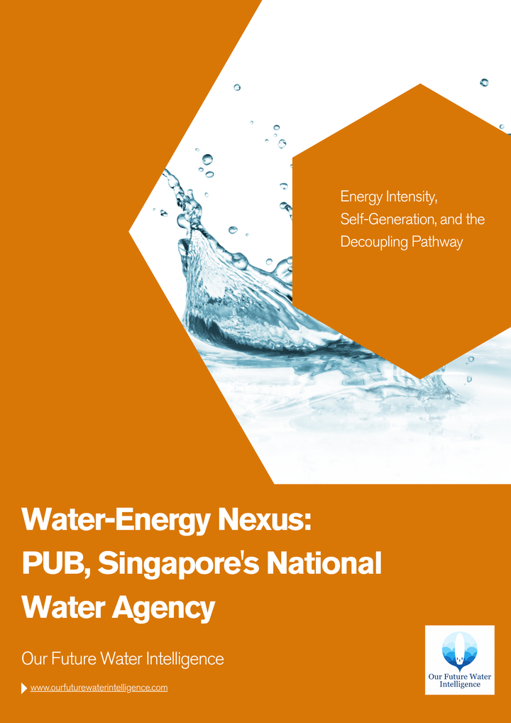 Cover of a report titled 'Water-Energy Nexus' by PUB, Singapore's National Water Agency, with water imagery and orange accents.