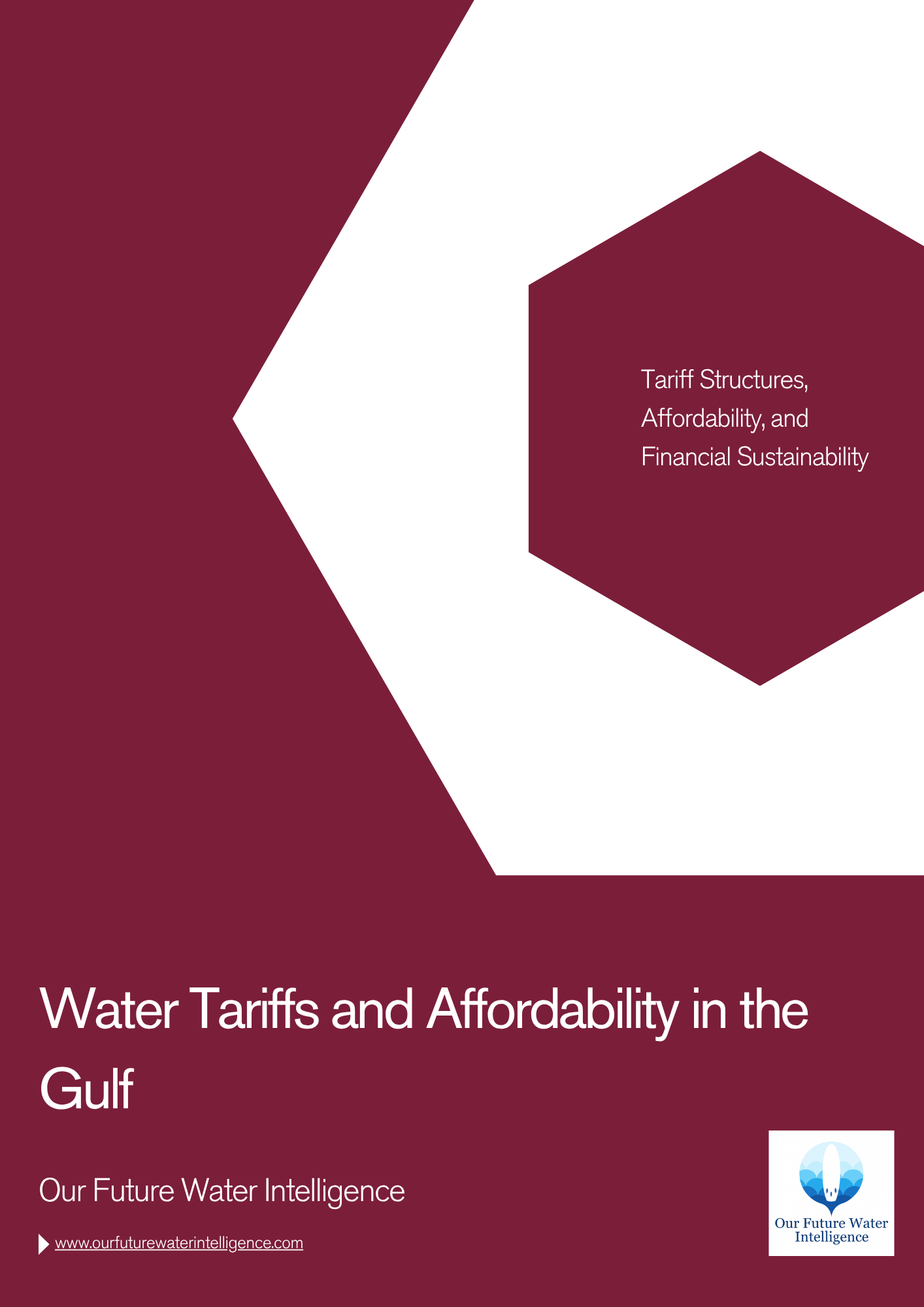 Water Tariffs and Affordability in the Gulf