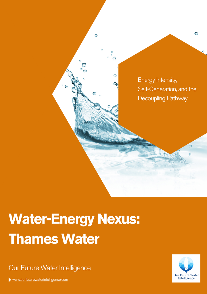 Cover of a report titled 'Water-Energy Nexus: Thames Water' with water imagery and orange background.