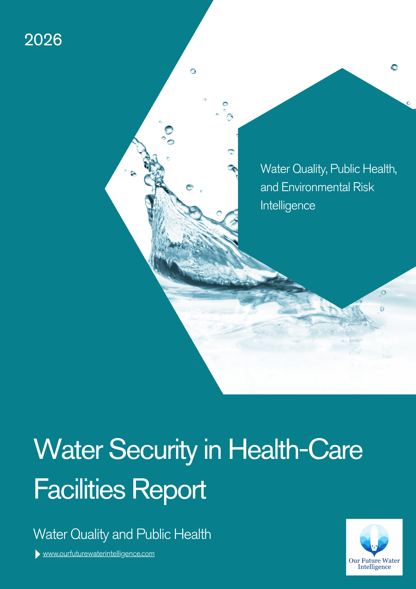 Water Security in Health-Care Facilities Report