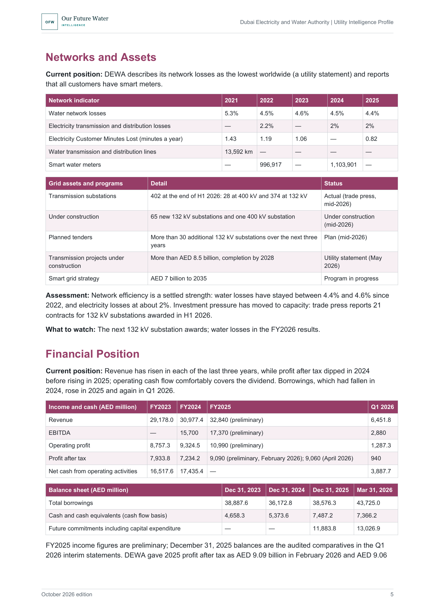 Report page showing tables of water and electricity network losses, smart meters, transmission substations, and DEWA's revenue, profit, cash and borrowings.