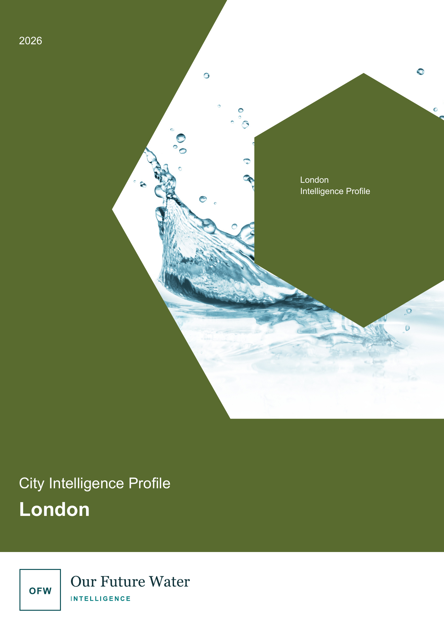 London City Intelligence Profile cover