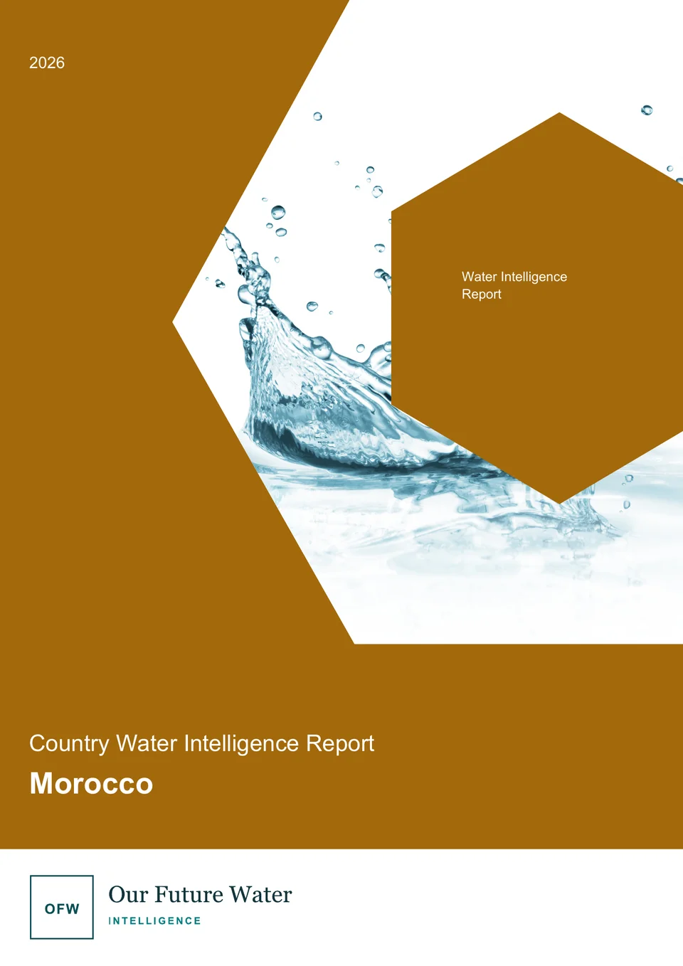 Morocco Water Intelligence Report cover